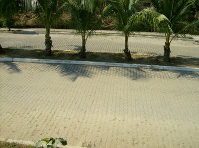 Newly Layed Interlocked Road Stones.